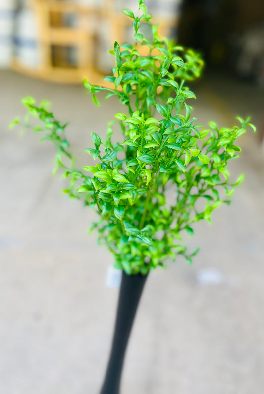 18"MINI TEA LEAF BUSH X 12-GREEN-BT375GR