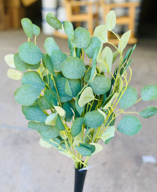 27" EUCALYPTUS X 7-GREEN-GPB25440