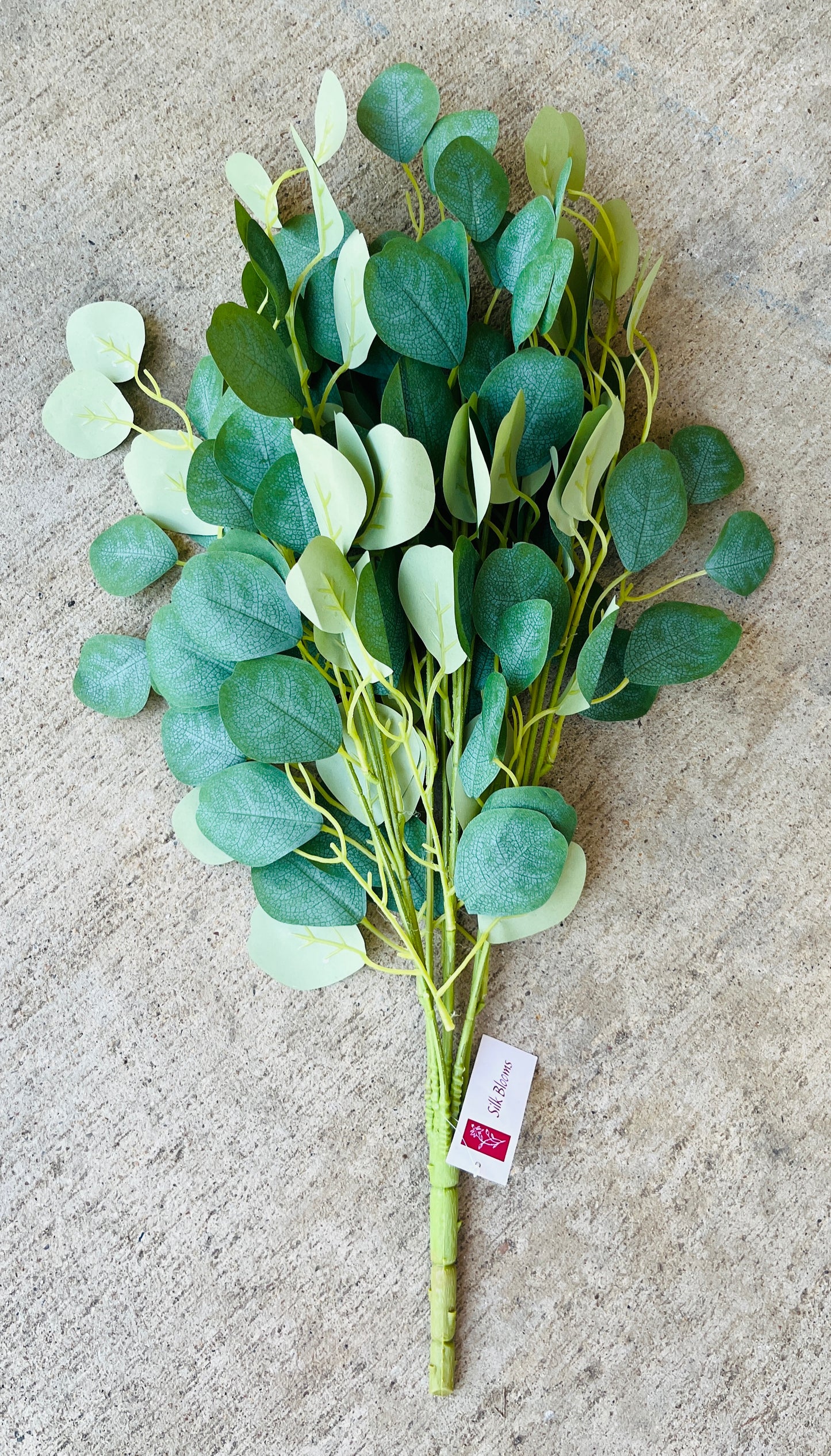 27" EUCALYPTUS X 7-GREEN-GPB25440
