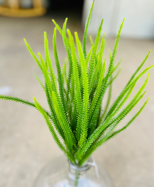 7.5" MILLET GRASS BUSH X 5-GREEN-BG1825GR