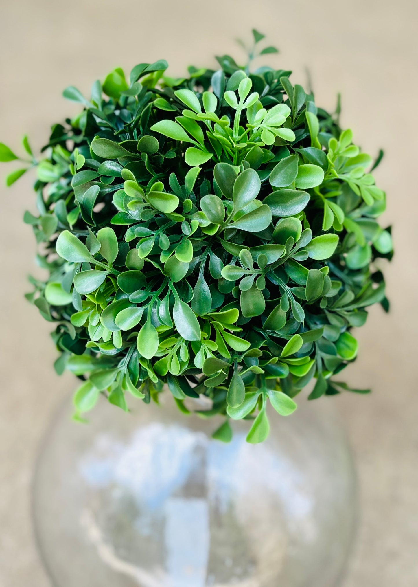 8" BOXWOOD BALL-GREEN-288533