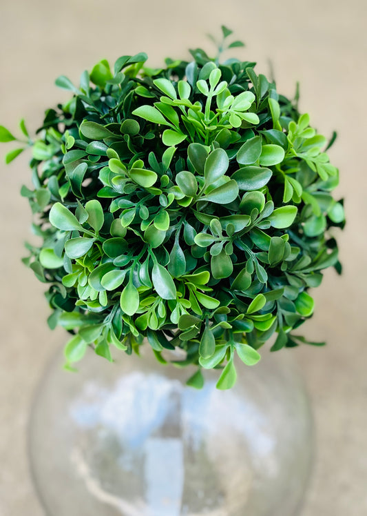 8" BOXWOOD BALL-GREEN-288533