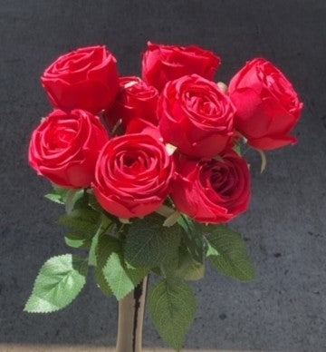 17" OPEN ROSE BUSH X 9-BTY-GPB26312-BTY