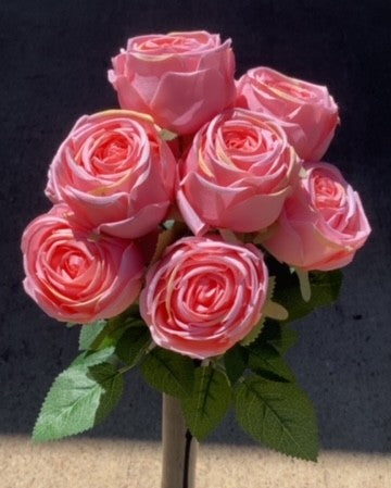17" OPEN ROSE BUSH X 9-PEACH-GPB26312-PEACH