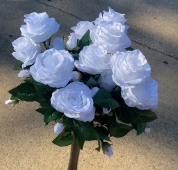 ROSE BUSH X 15-PURE WHITE-B17037-PUREWHT