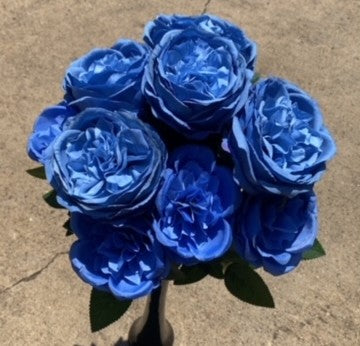 24" AUSTIN ROSE BUSH X 5-GPB25374-BL