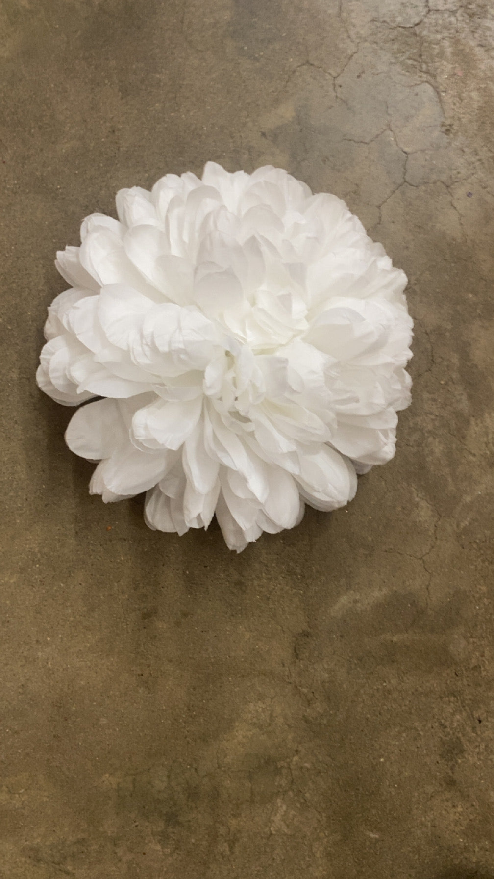 9.5" x 12 Layer Giant Mum Head-White-GB3809-WT