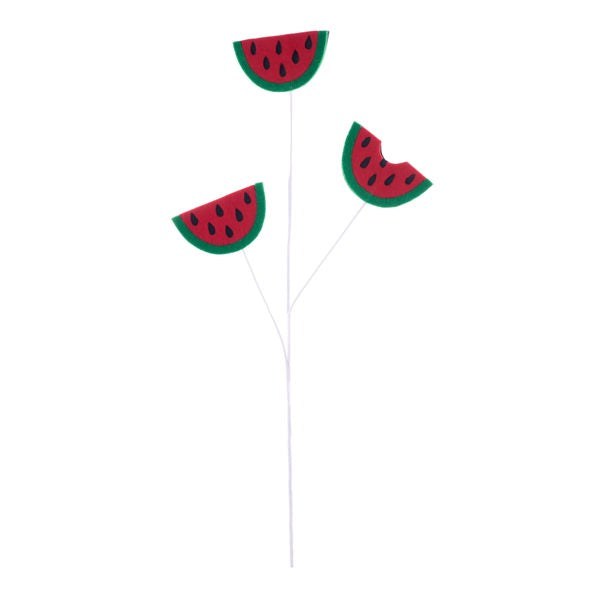 23.5"L HALF MELON SPRAY - RED/GREEN/BLACK - MN0258