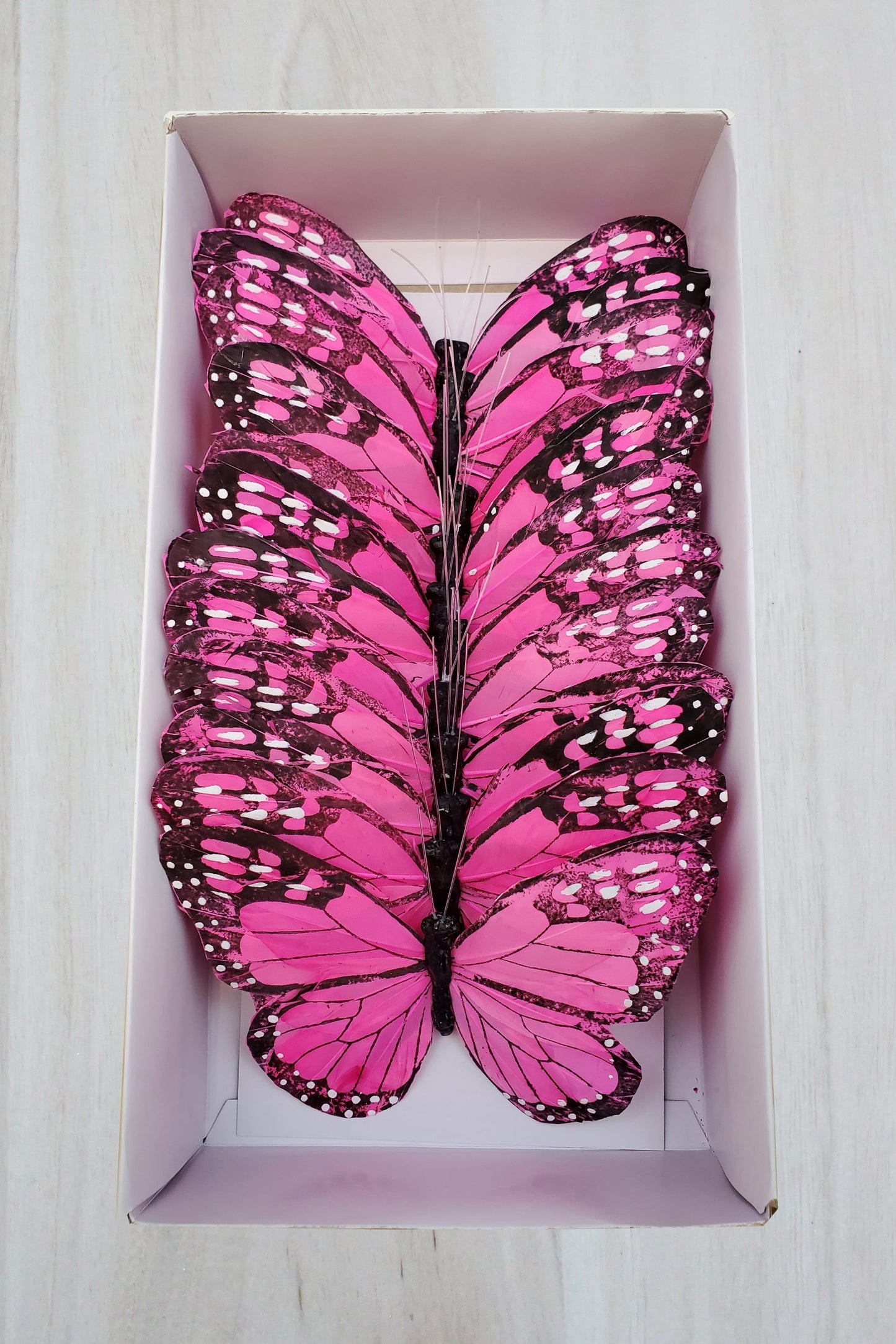 7 inch pink and black monarch buttery - 1 dz per box