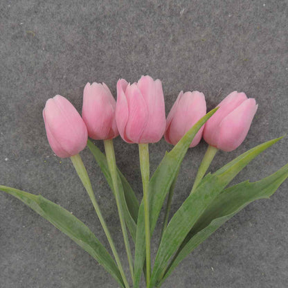 TULIP BUNDLE X5 17" PINK - SB0010-PNK