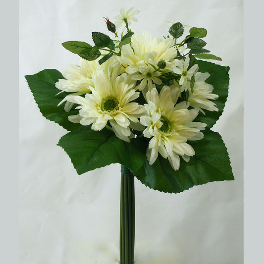 GERBERA BUNDLE X7  CREAM - SE336-CRM