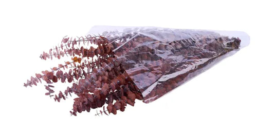 1LB PRESERVED SPIRAL EUCALYPTUS BUNDLE-GOLDEN BROWN-TF003629
