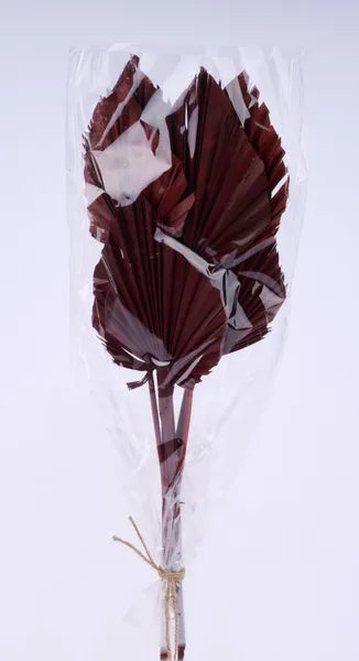 18-23"L Palm Spear Bundle x 7-Brown-TT304704