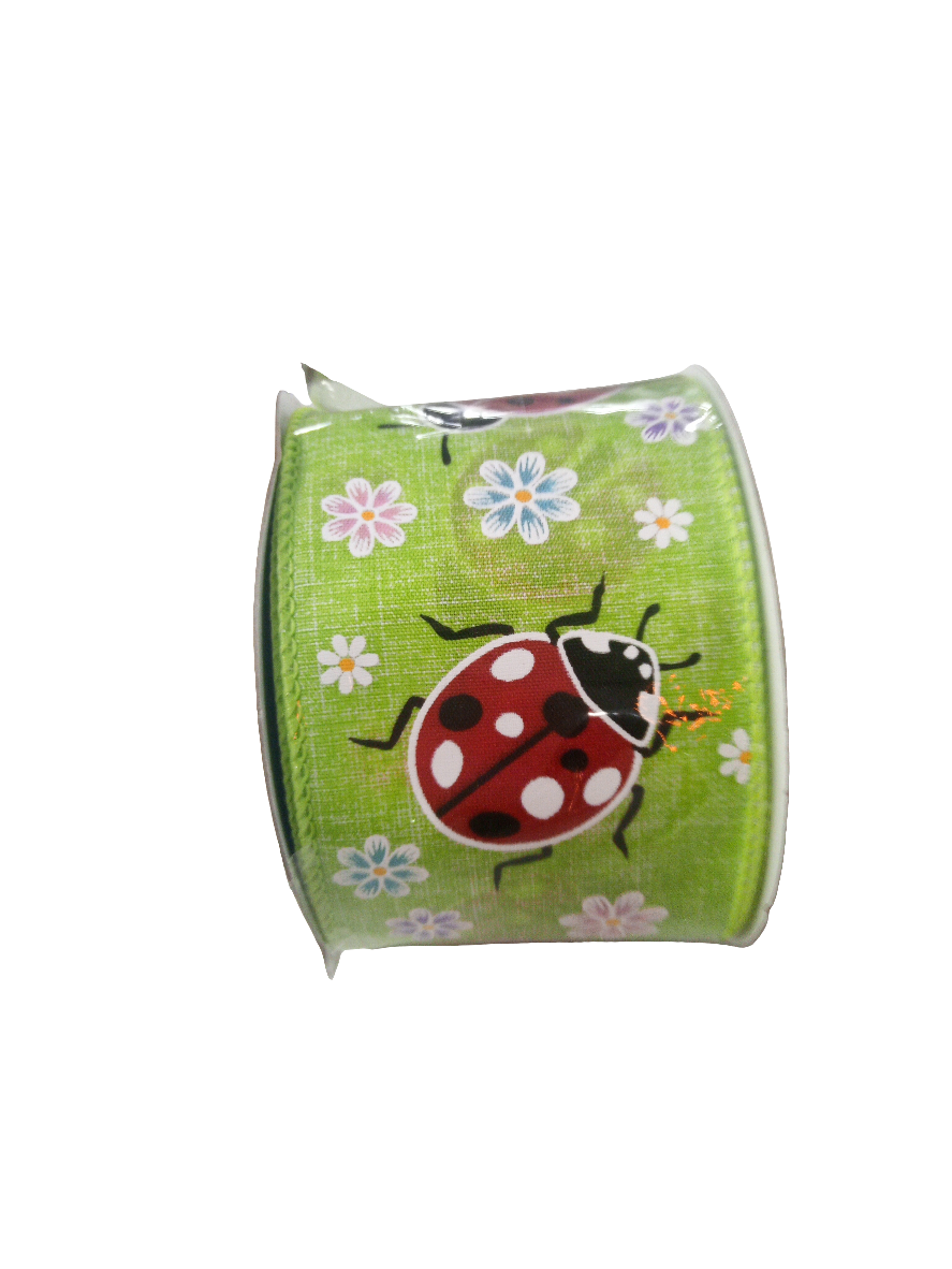 2.5  X 10YD Green Ladybug and Daisy Ribbon - 153688G