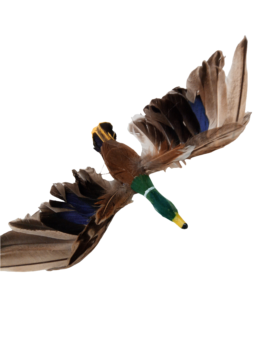 6.5 MALLARD DUCK-B331