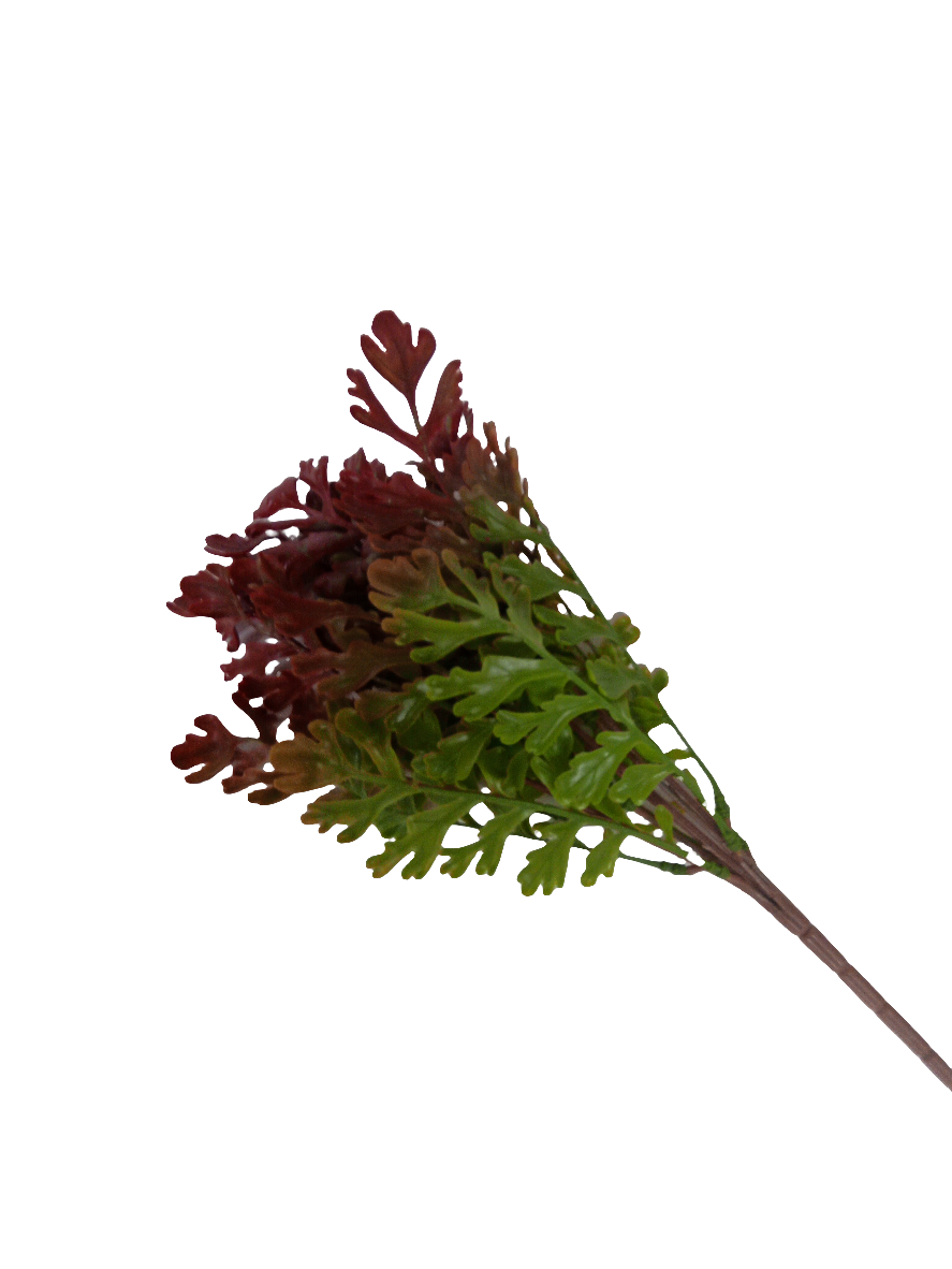 Fern greenery Filler Bush - 43504