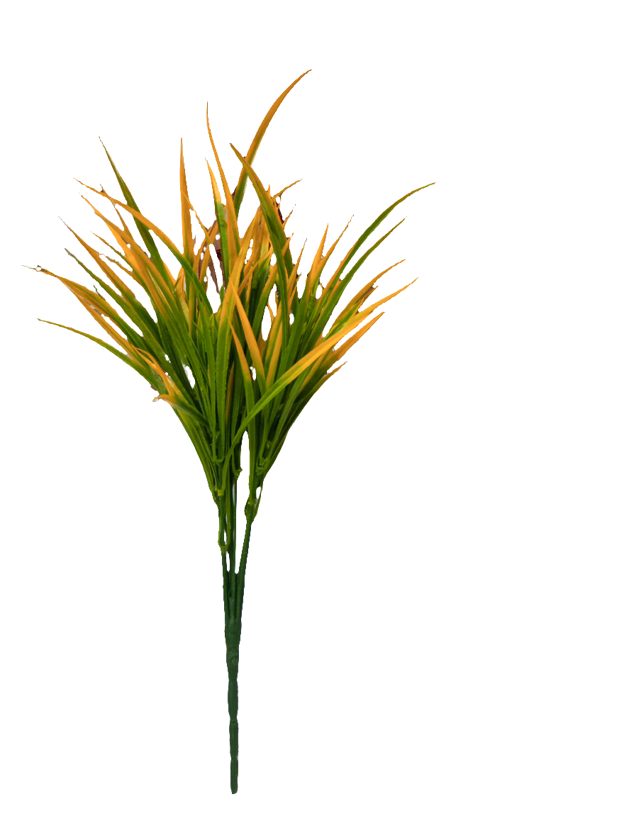 Orange grass Greenery Filler Bush - 43316