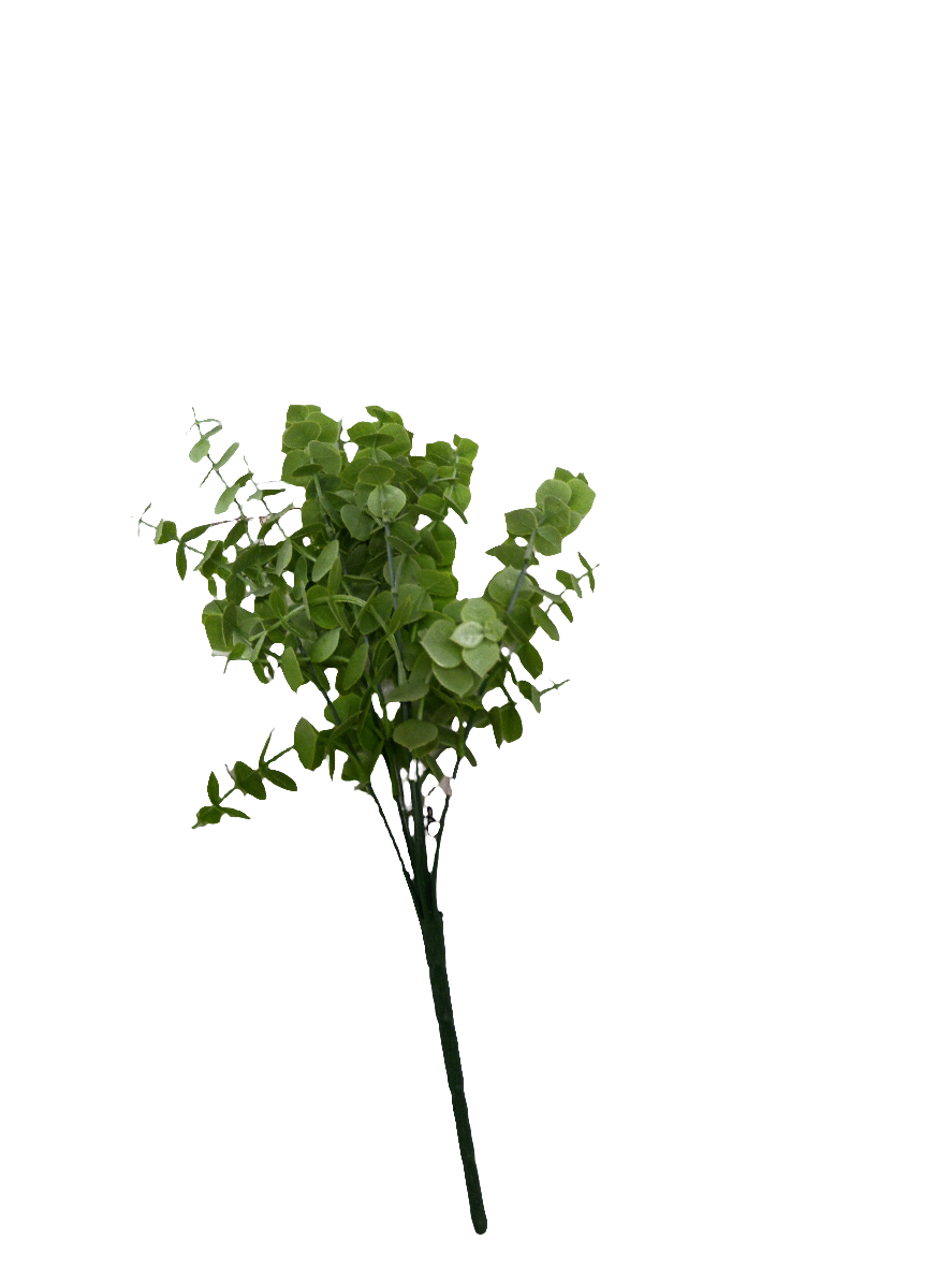 Eucalyptus greenery Filler Bush - 57902