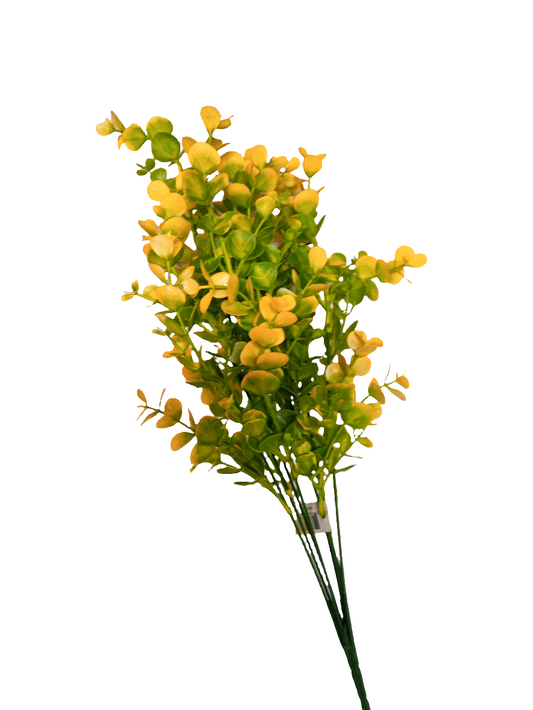 Orange eucalyptus Greenery Filler Bush - 57823