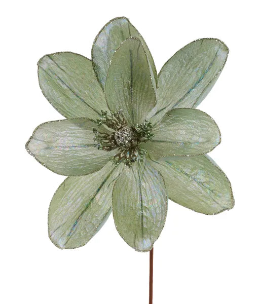 9"Dia Iridescent Magnolia Stem 11"Oal-Sage Green-XS765481