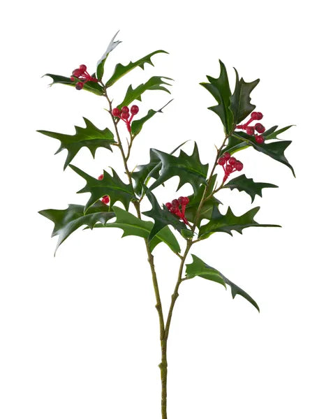 21"L Holly Berry Leaf Spray-Green/Red-XS093909