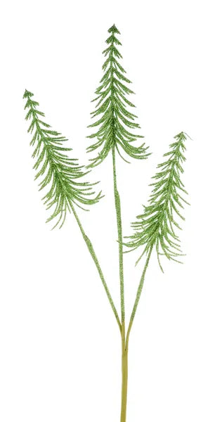 24.5"L Glitter Pine Tree Spray-Lime Green-XS135451