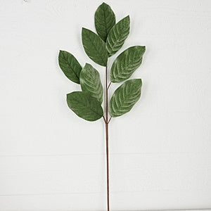 25inL Spray-Sage velvet magnolia Leaves- 32282