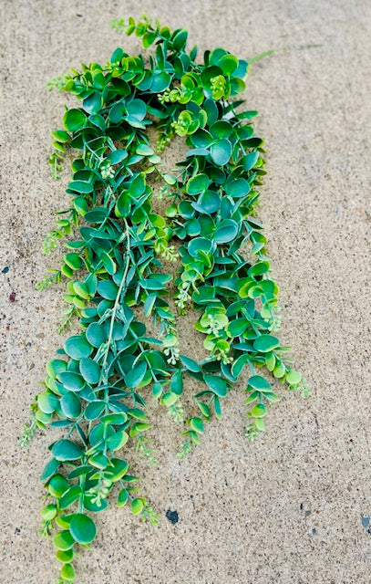 32" HANGING GREENERY-GPB26301-DKGN