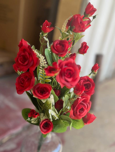 ROSE BUSH X 7-RED-37303