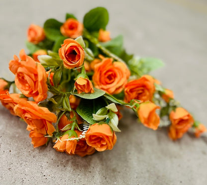 ROSE BUSH X 7-ORG-37307