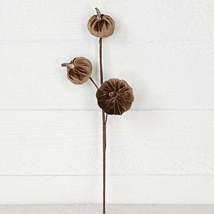15in Pick-Velvet gold stem mini pumpkins-BRW- 31352