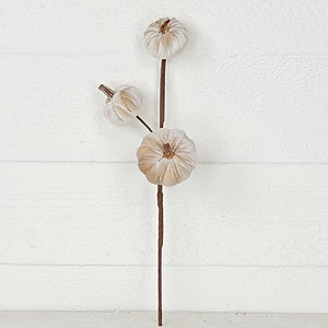 15in Pick-Velvet gold stem mini pumpkins-CHAM- 31353