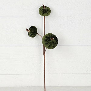 15in Pick-Velvet gold stem mini pumpkins-GR- 31355