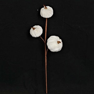 15in Pick-Velvet gold stem mini pumpkins-CR- 31357