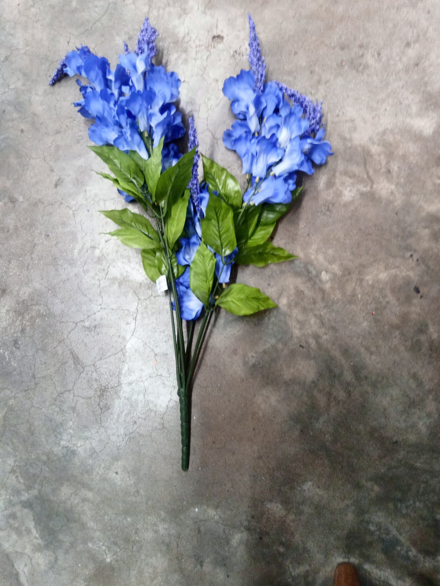 SNAP DRAGON BLUE -71554