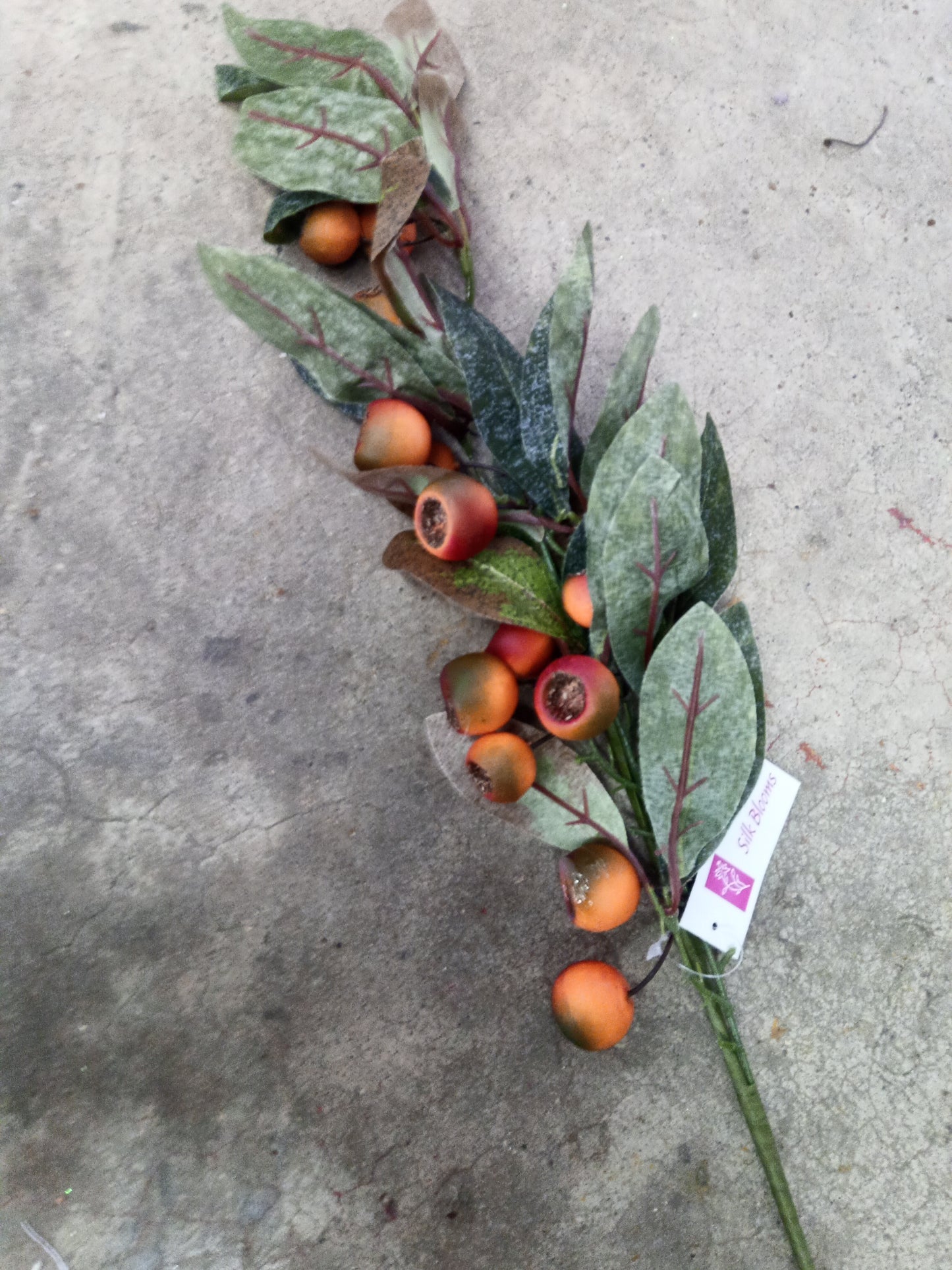 Loquat leaf spray- GPL19251