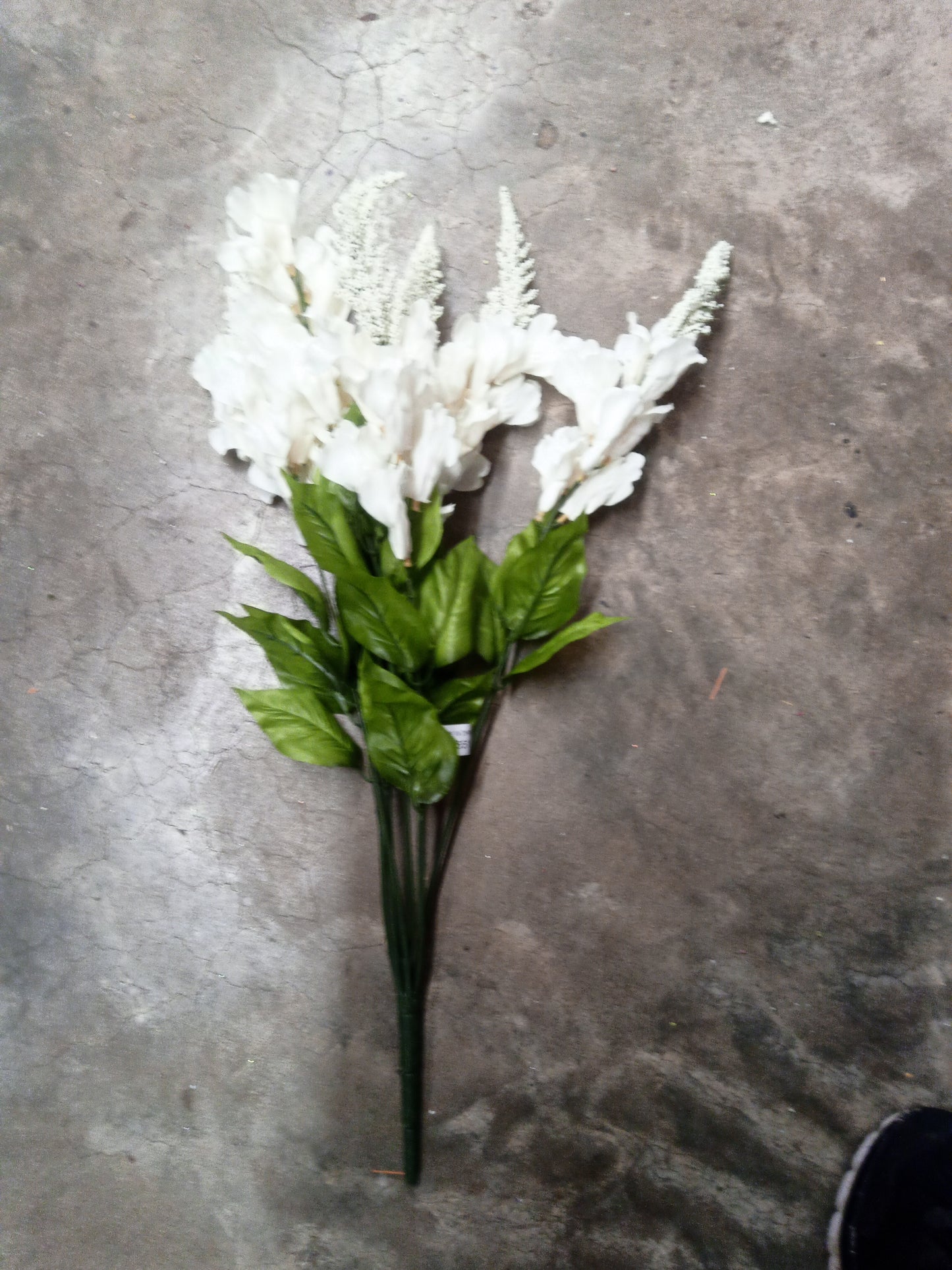 SNAP DRAGON CRM-71551