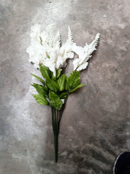 SNAP DRAGON CRM-71551