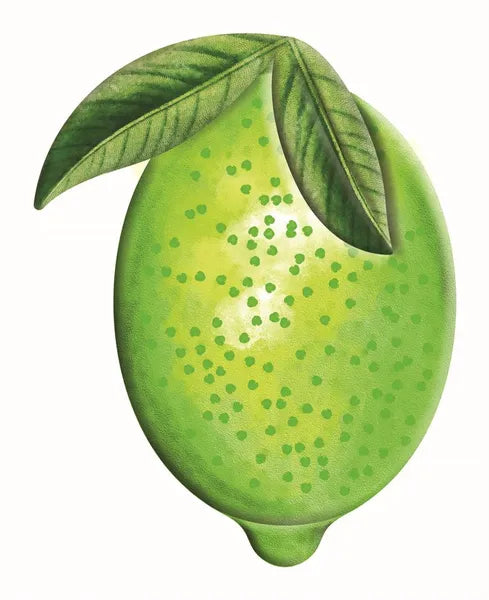 12"H x 9.5"W Embossed Watercolor Lime-MD071436