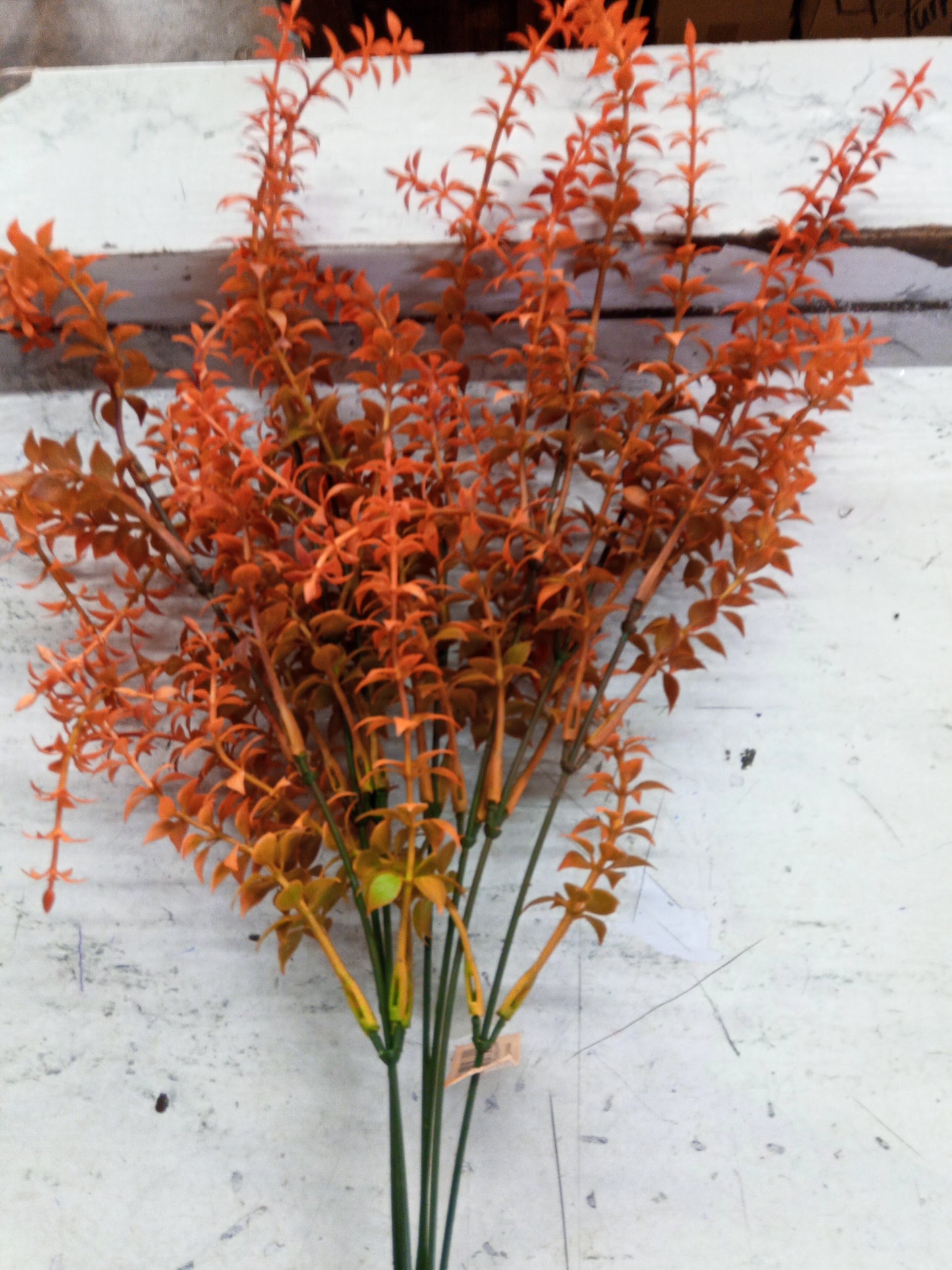 OR/BURG PLASTIC BOXWOOD -58604