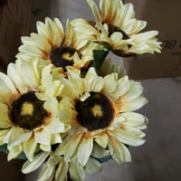Dry sunflower x 7