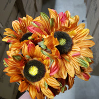 Dry sunflower x 7