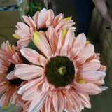Dry sunflower x 7