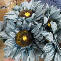 Dry sunflower x 7