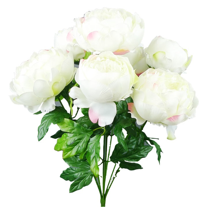 21" Peony bush x 5 - 30590BT, 30590DTBL, 30590DTPK, 30590WT