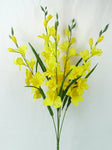Gladiolus bush x 5, 35"