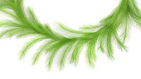 6'L Fabric Grass Plume Garland