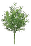 18" Rosemary Bush