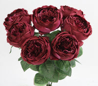 Rose bush x 7