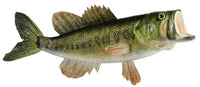 19"L Largemouth Bass